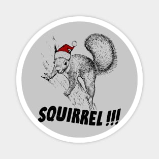 Squirrelllll!!! Magnet